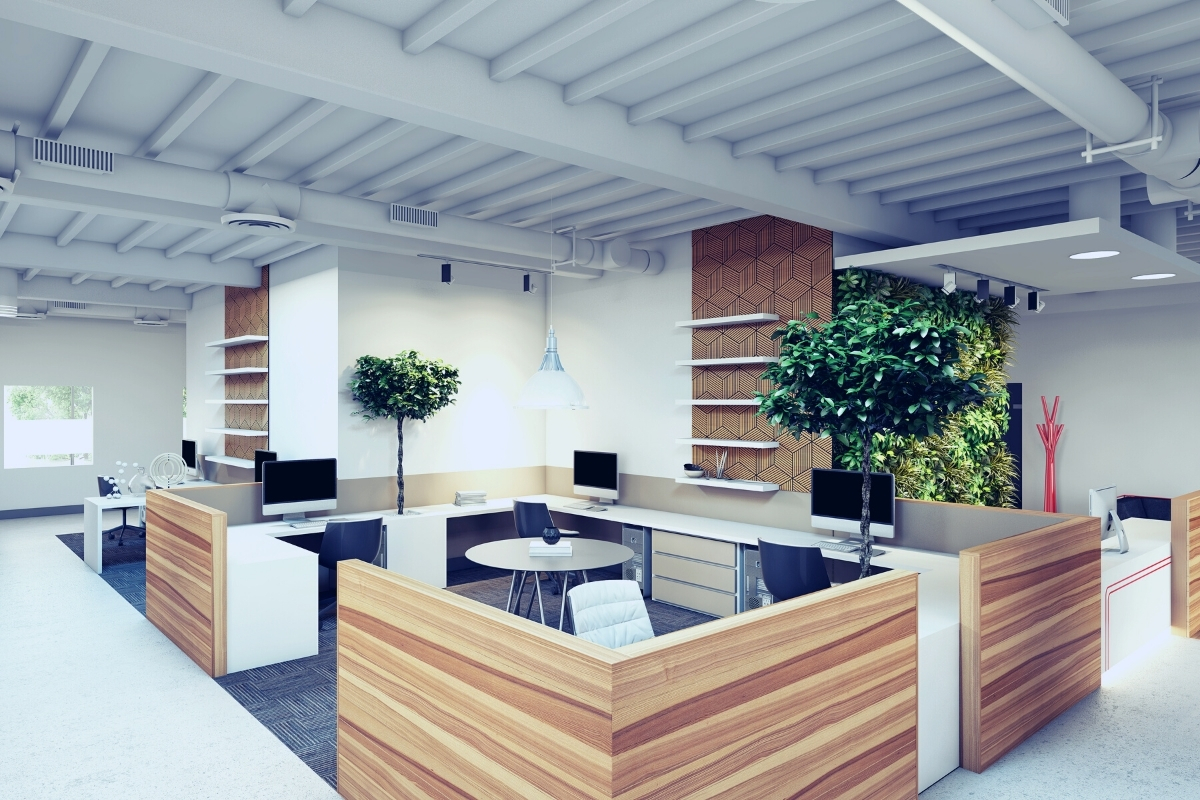 Shoplot/Office Renovation